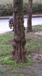 You Cant See Me!