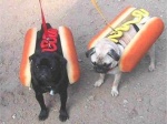 2hotdogs