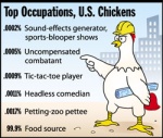 US Chicken Stats